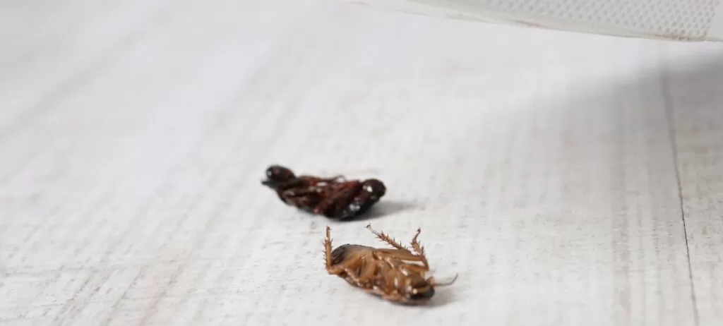 сервис в ресторане