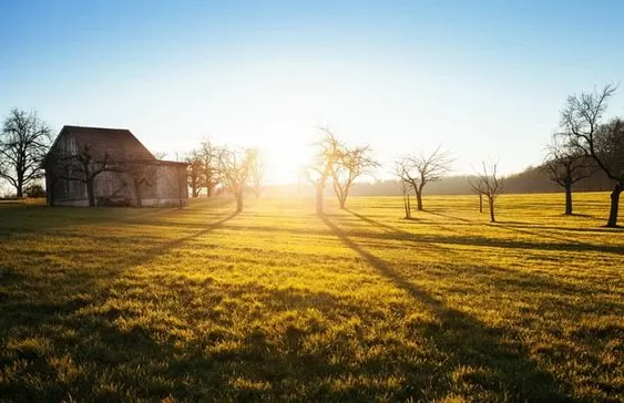 покупка земельного участка
